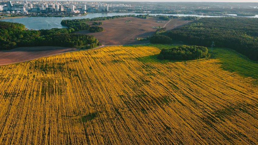 Explore the stunning aerial landscape of Drozdzy, Belarus, showcasing fields and cityscape.
